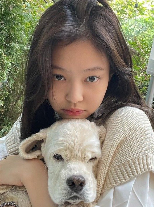 เพลงใหม่ JENNIE พระเอก MV คือ 'ไค EXO' เหรอ!? แฟนคลับเข้าใจผิดยกใหญ่ ทั้งสัญชาติทั้งอาชีพผิดหมด 😱 0000318903 002 20210913194627287 11